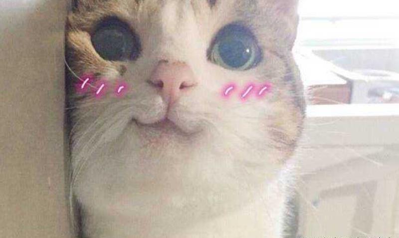 第64话 笨蛋-第66话