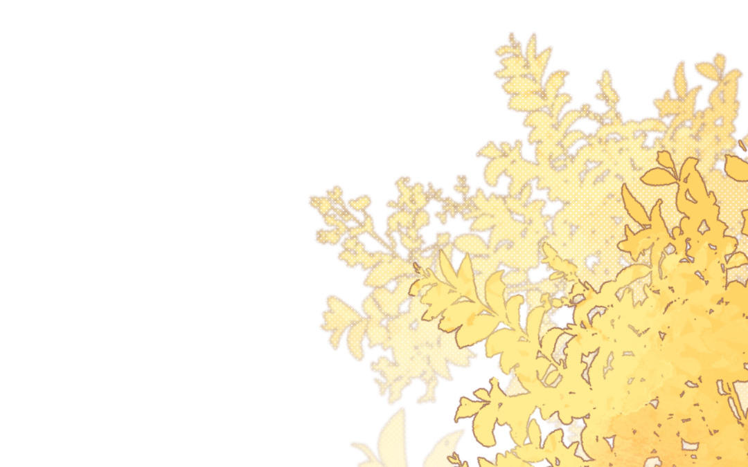 第15话 公主抱(1/2)-第16话