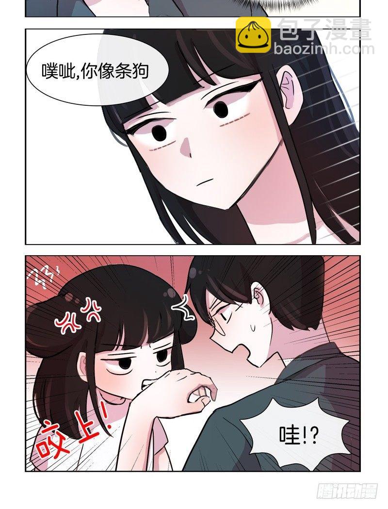 她討厭我 - 貓和狗 - 2