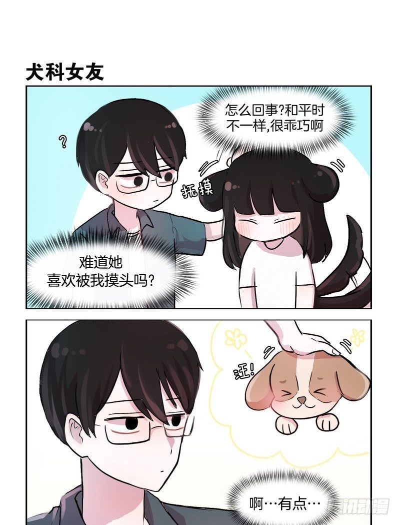 她討厭我 - 貓和狗 - 1