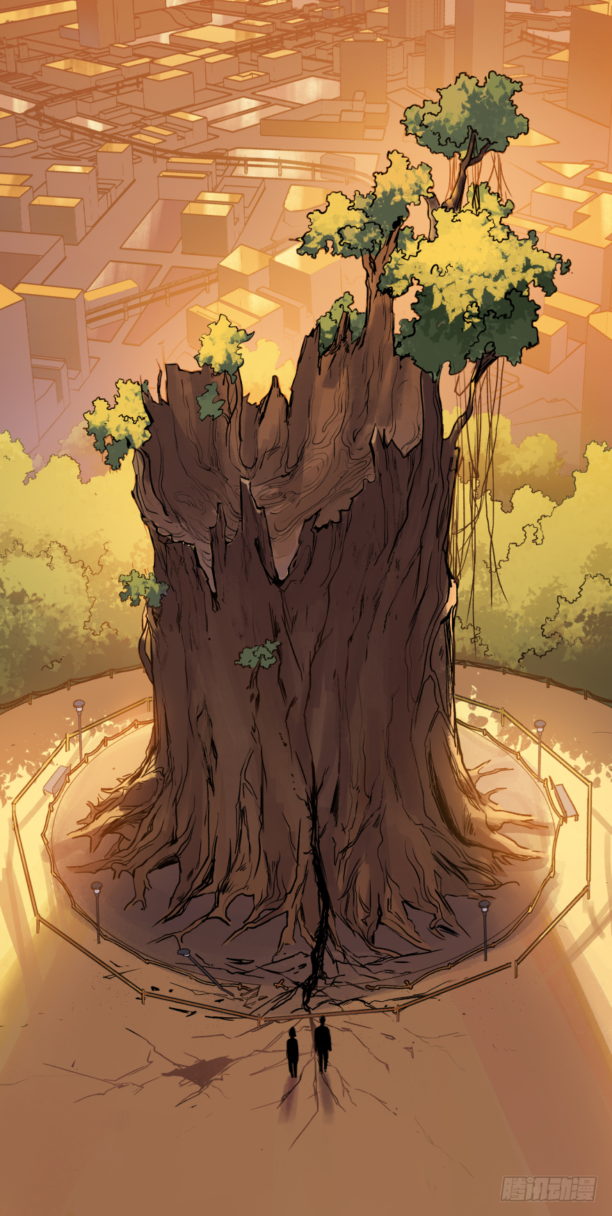 第四十话：告白？(1/2)-第40话