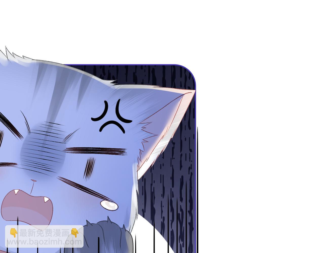 第63话 猫狗双全(1/3)-第100话