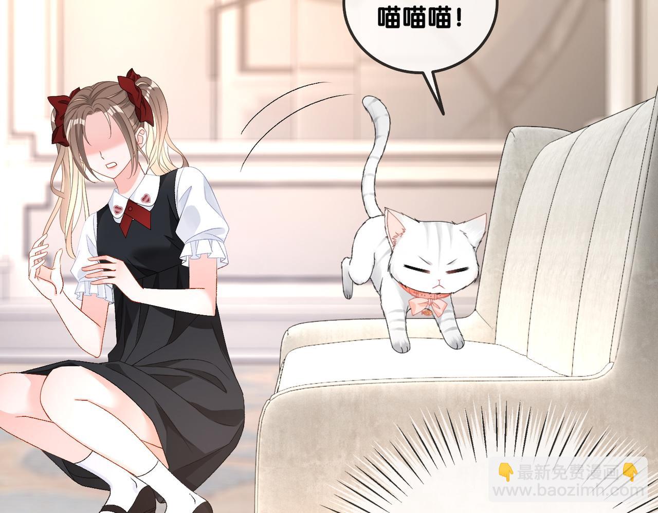 第63话 猫狗双全(1/3)-第100话