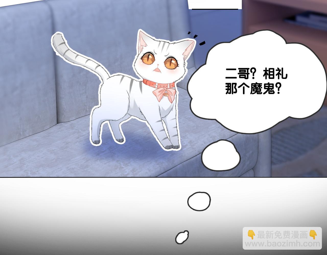 第63话 猫狗双全(1/3)-第100话