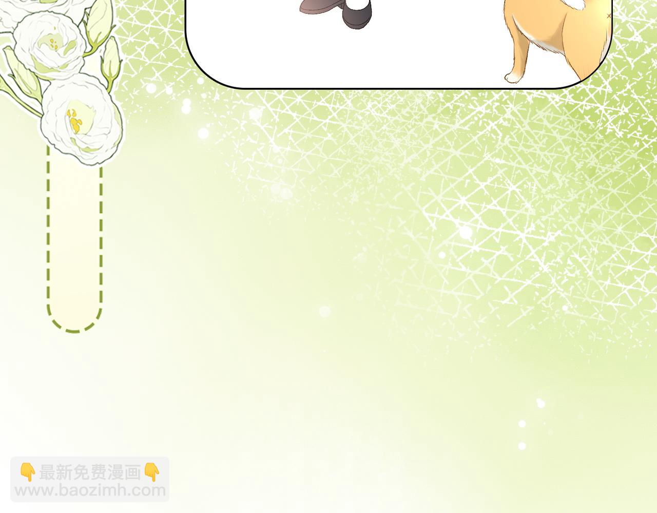 第63话 猫狗双全(1/3)-第100话