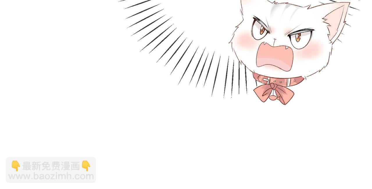 第25话 识破白莲(1/3)-第26话