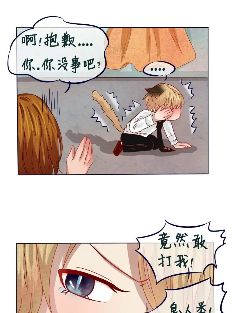 第11话 才不要百合-第12话