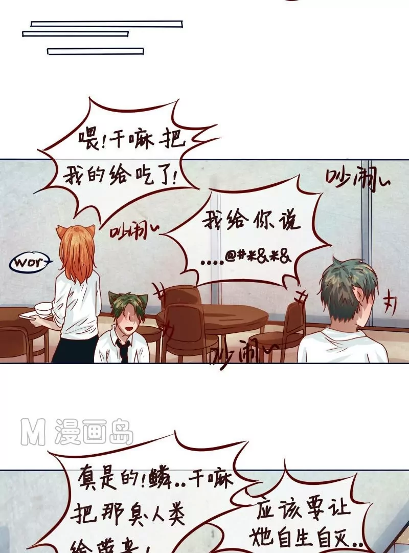 第13话 话命运转轮开始！-第14话