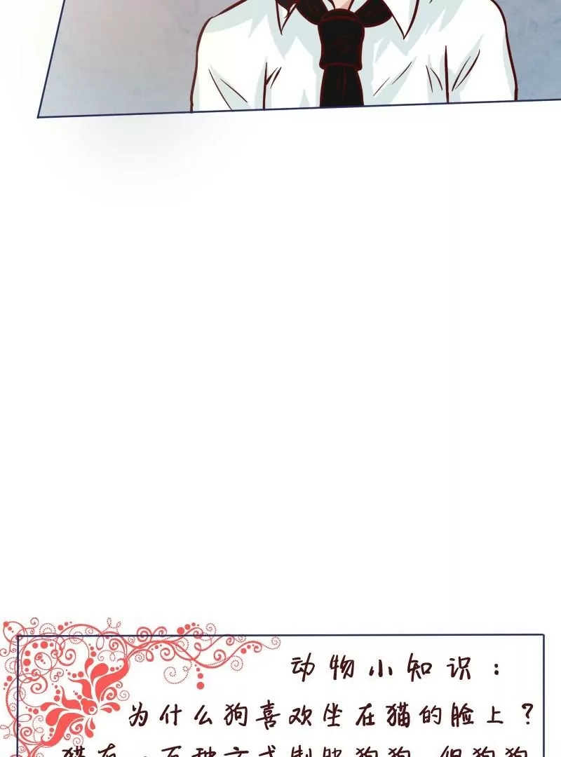 第25话未婚妻-第24话