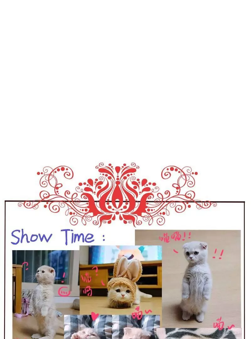 第29话消失！-第28话