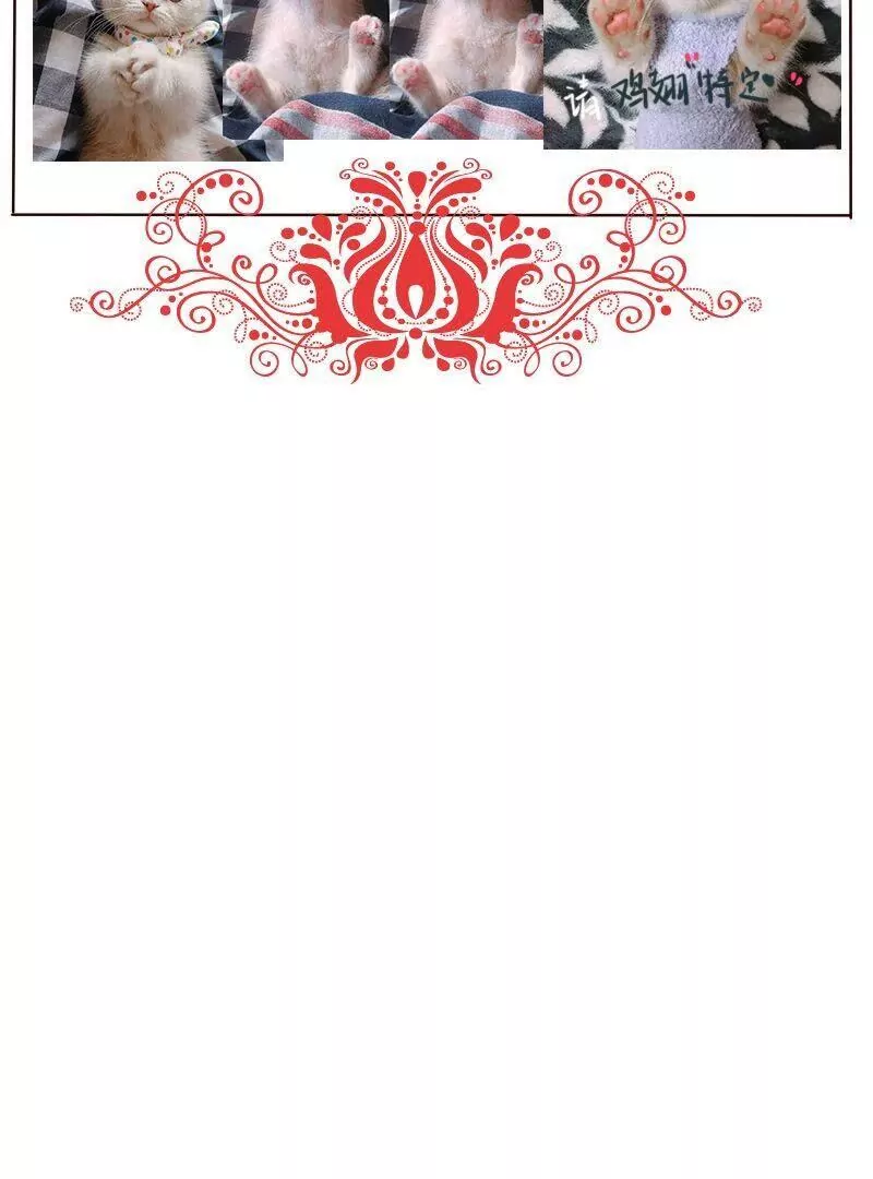 第29话消失！-第28话