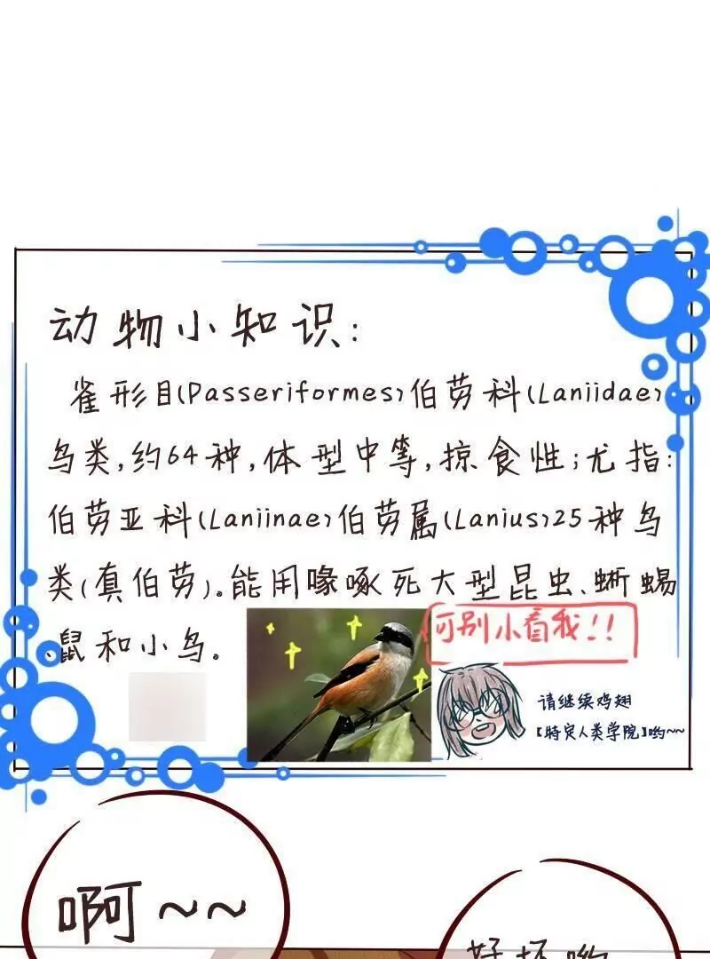 第31话被打倒-第30话