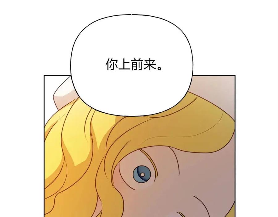 The Golden Haired Elementalist - 第37話 披荊斬棘只爲見他(1/5) - 4