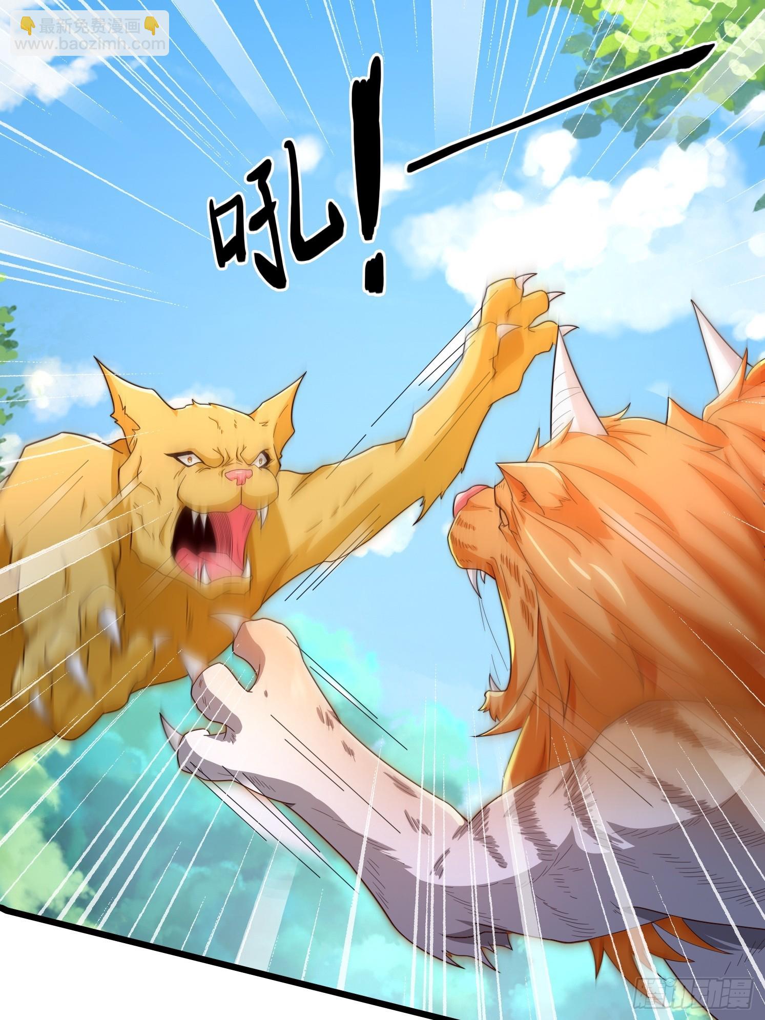 01 穿越成乌龟(1/2)-第2话