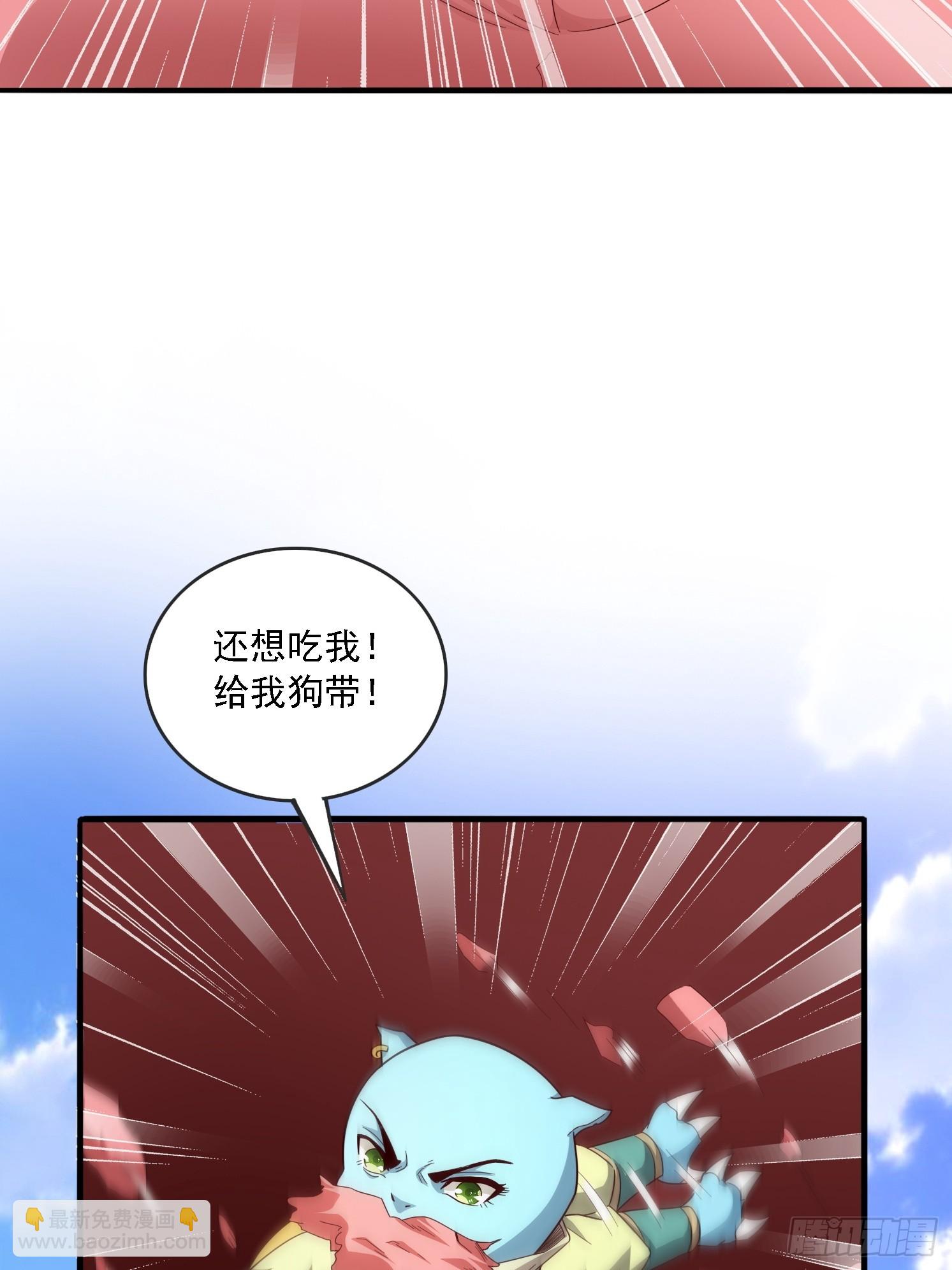 01 穿越成乌龟(1/2)-第2话