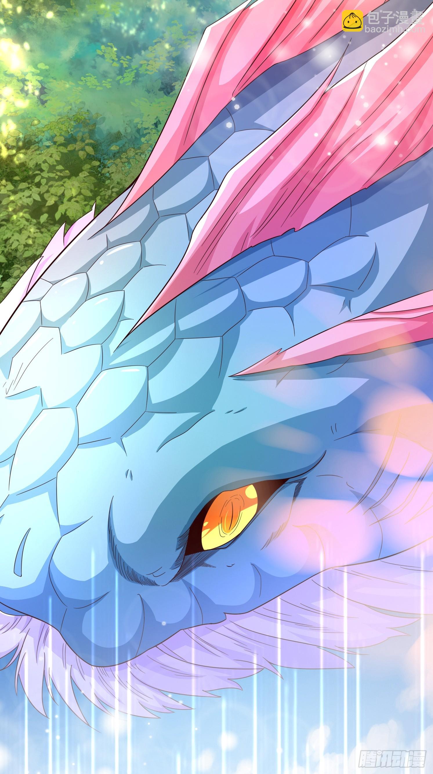 01 穿越成乌龟(1/2)-第2话