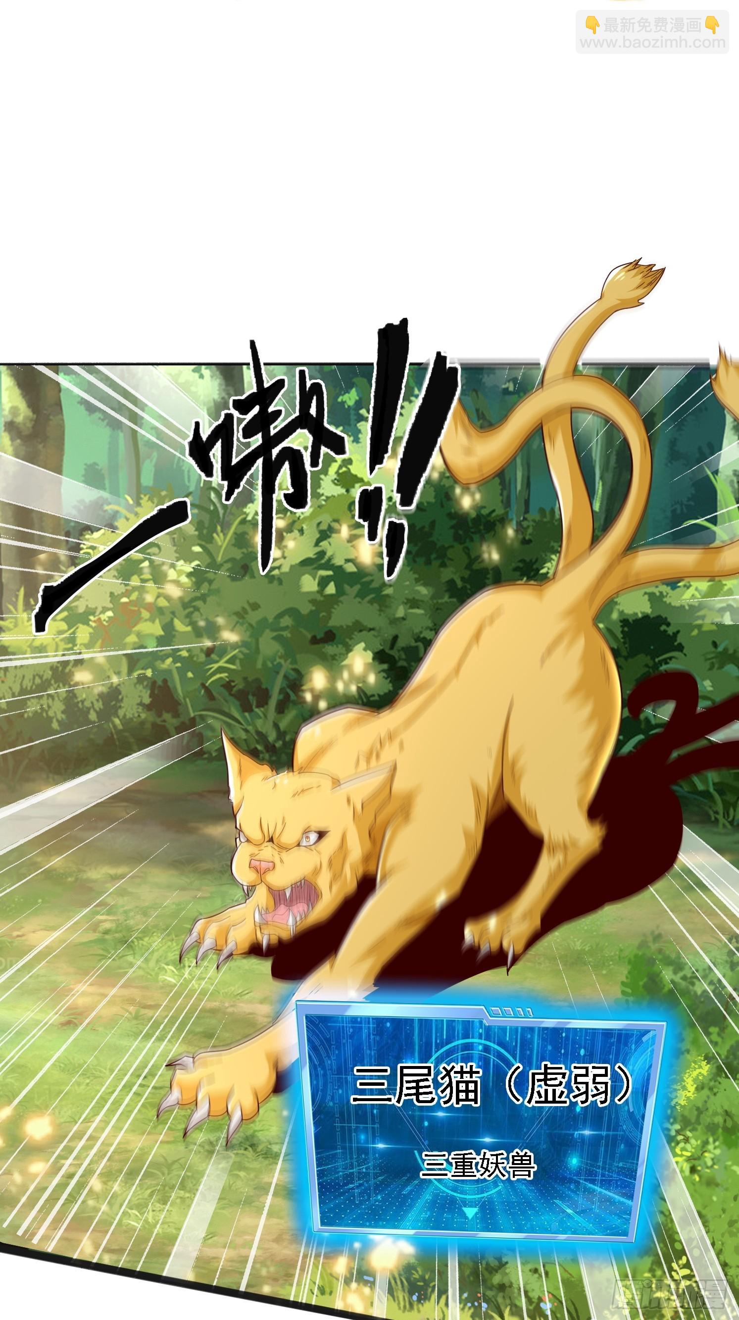 01 穿越成乌龟(1/2)-第2话