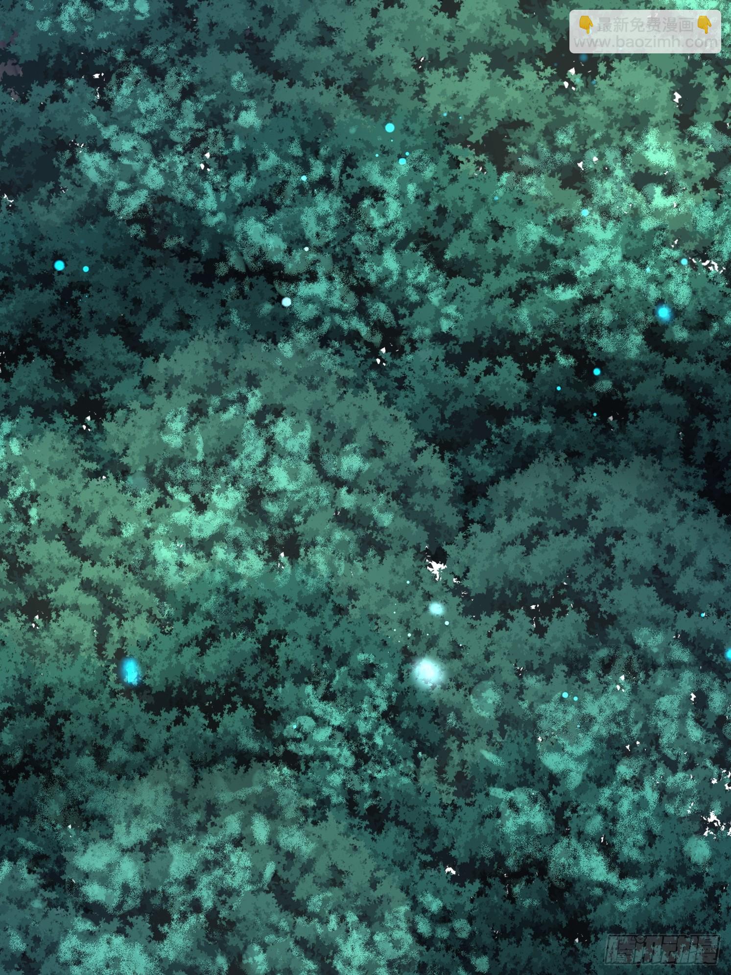 03.霸气龟龟(1/2)-第4话