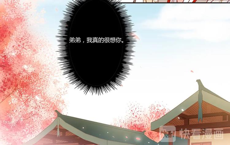 第41话 冤家又相逢-第44话