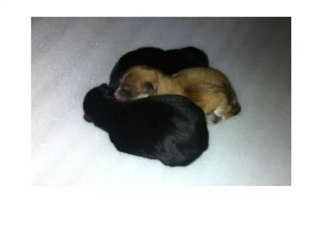 第25话 罚站-第24话