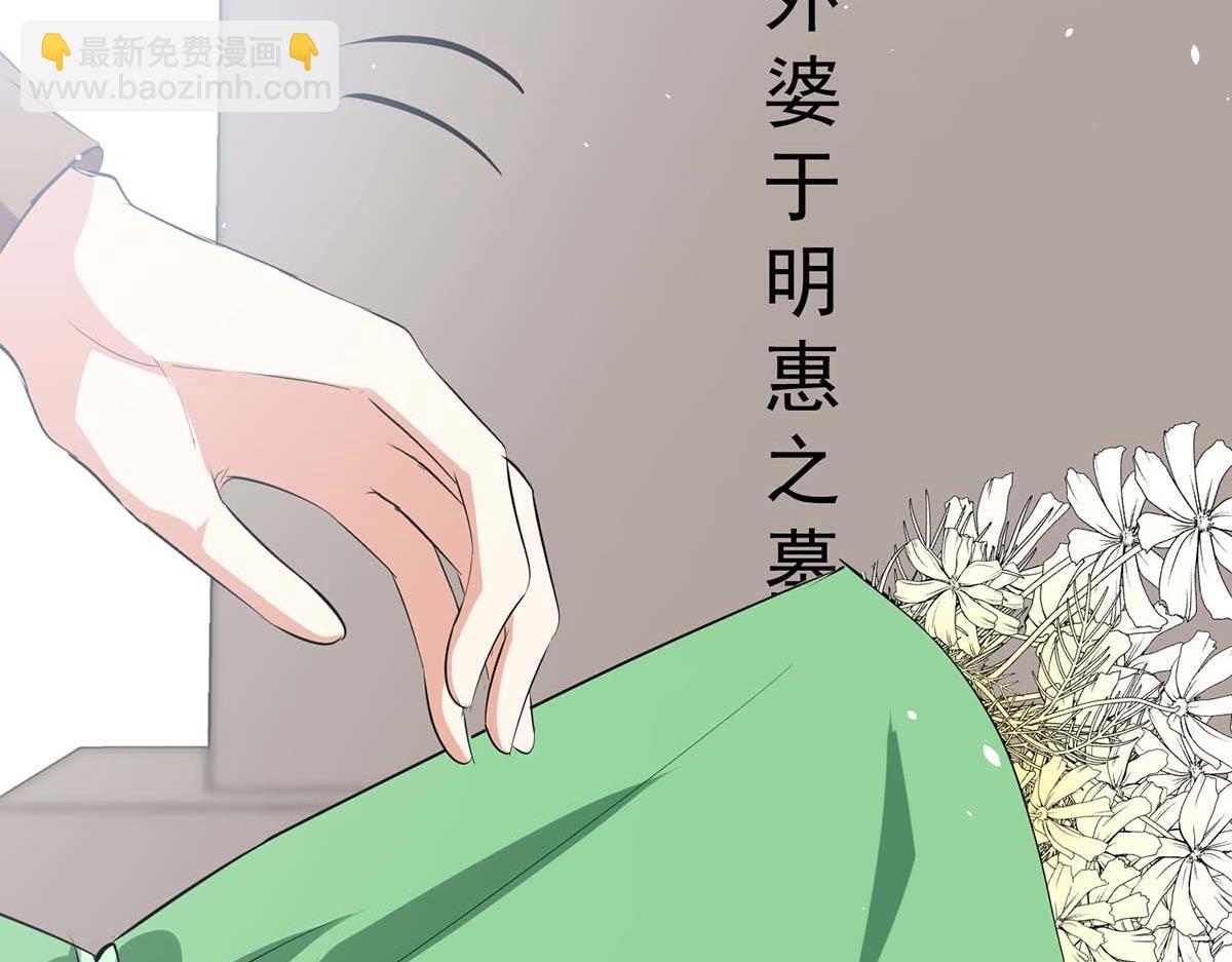 天才酷寶：總裁寵妻太強悍 - 第204話 掃墓(2/2) - 1