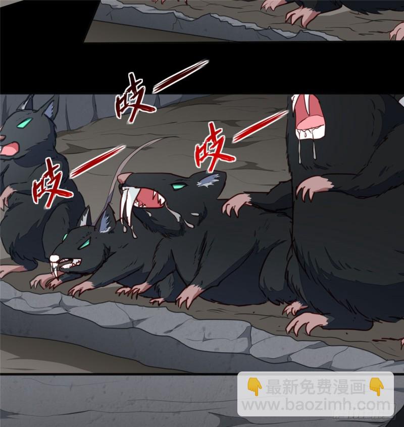 第188话 鼠群退散-第188话