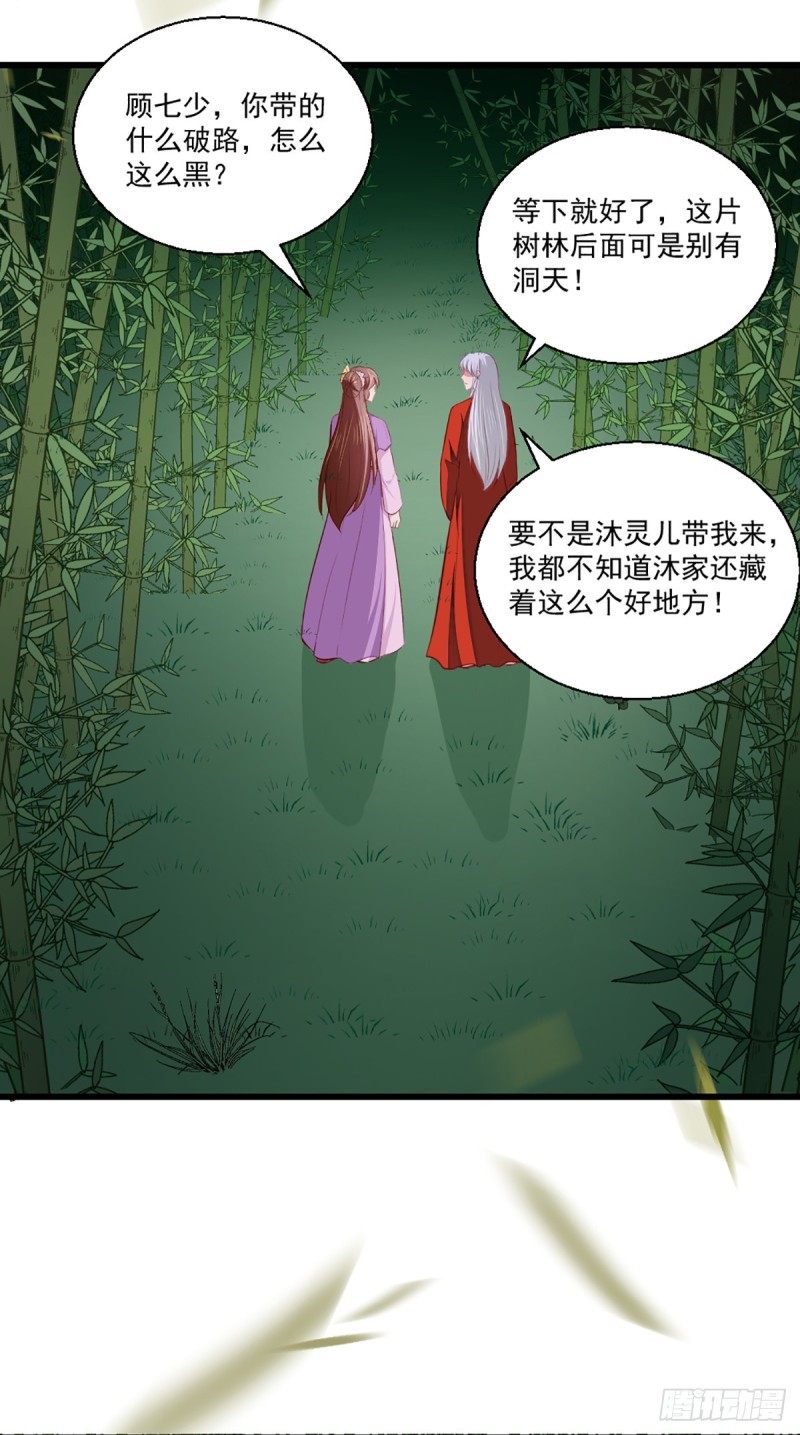 天才小毒妃（《芸汐傳》原作） - 第207話 神秘的啞婆婆 - 1