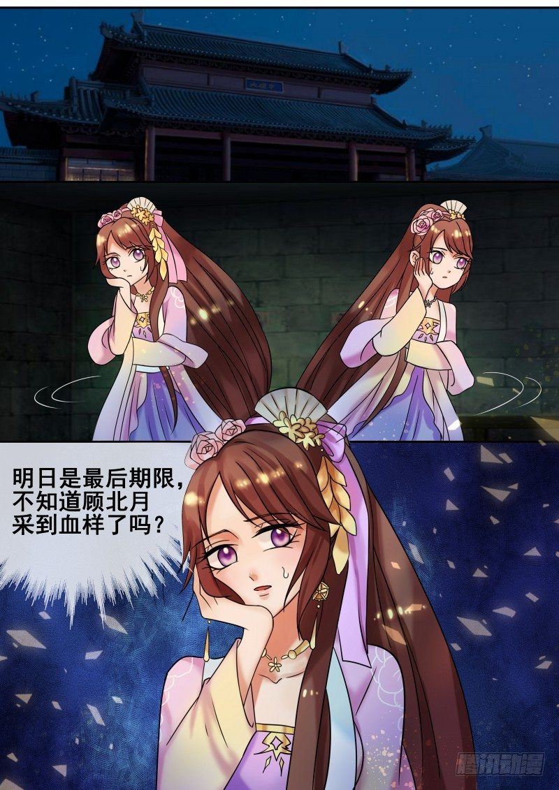 第23话 秦王妃被刺杀了？-第24话