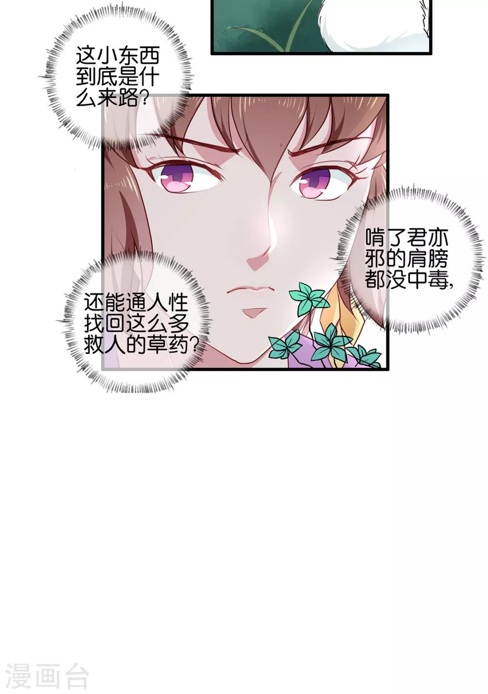 天才小毒妃之芸汐傳奇 - 第190話 搜捕秦王妃！ - 3