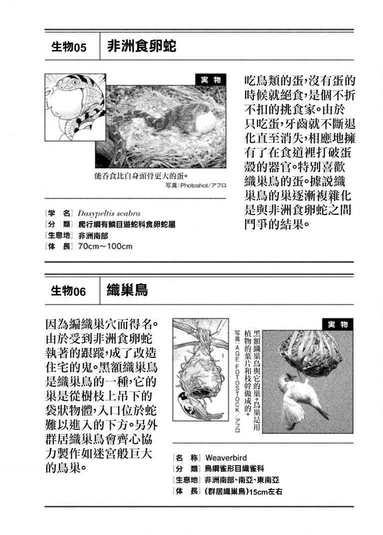 天地創造設計部 - 2話 - 4