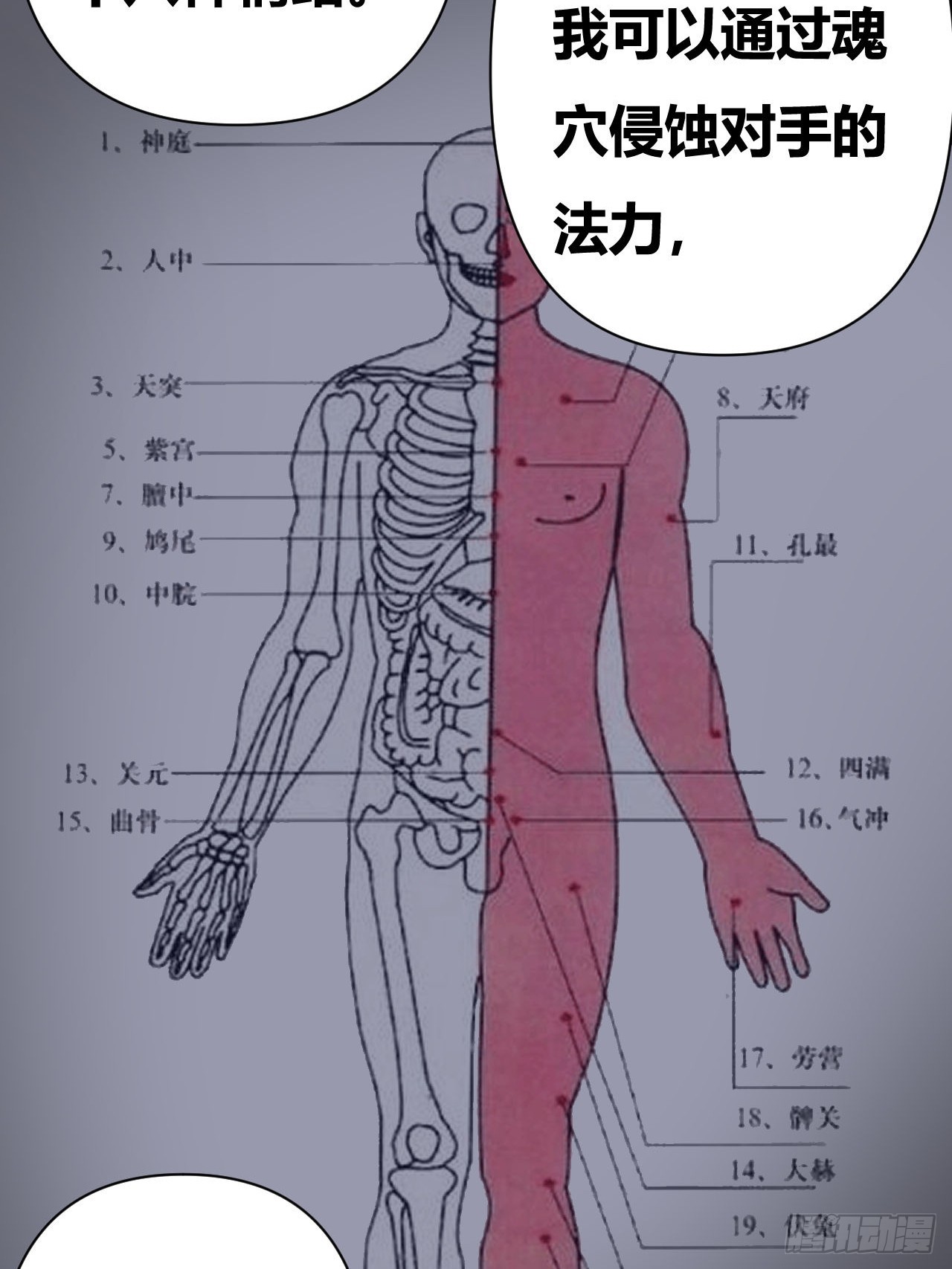 第49话(1/2)-第48话