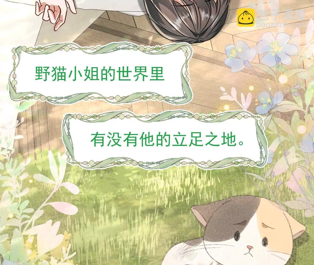 38 狮子先生野猫小姐(1/4)-第38话