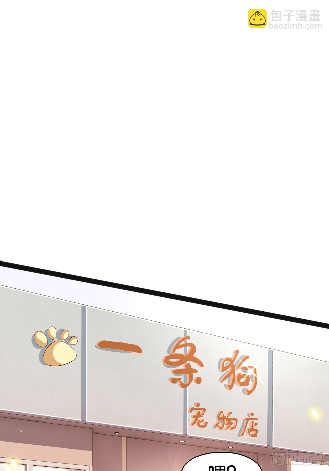 天界代購店 - 仙狗凡情 - 3