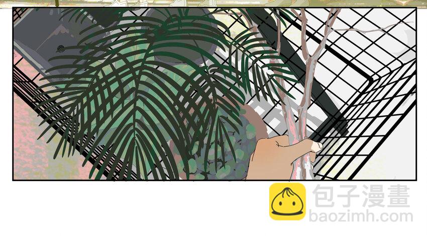 005 两条金鱼(1/2)-第6话