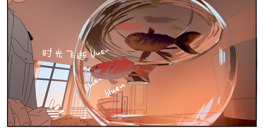 005 两条金鱼(1/2)-第6话