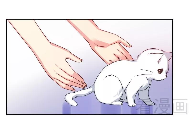 第59话 鉴定书-第60话