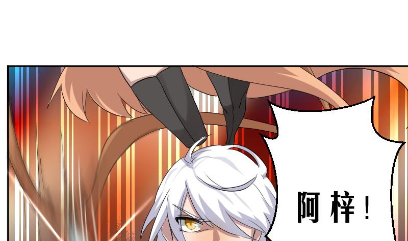 第5话 神秘人现身(1/2)-第6话