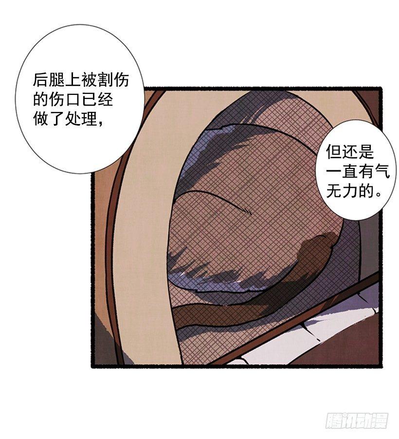 9.蕾拉(1/2)-第10话