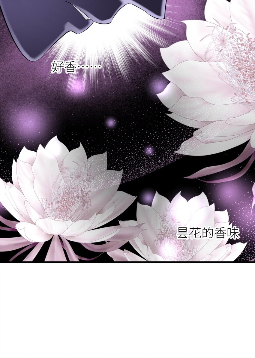 51 祸水(1/2)-第54话