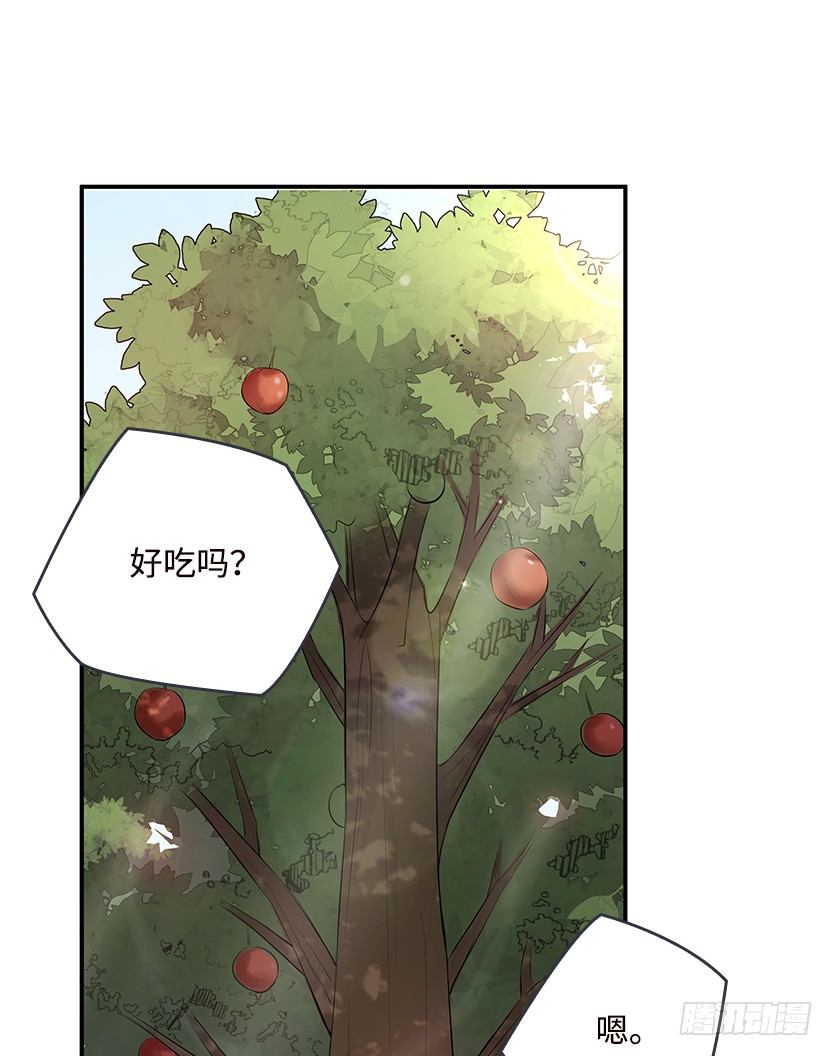 第2波缩圈(1/2)-第40话