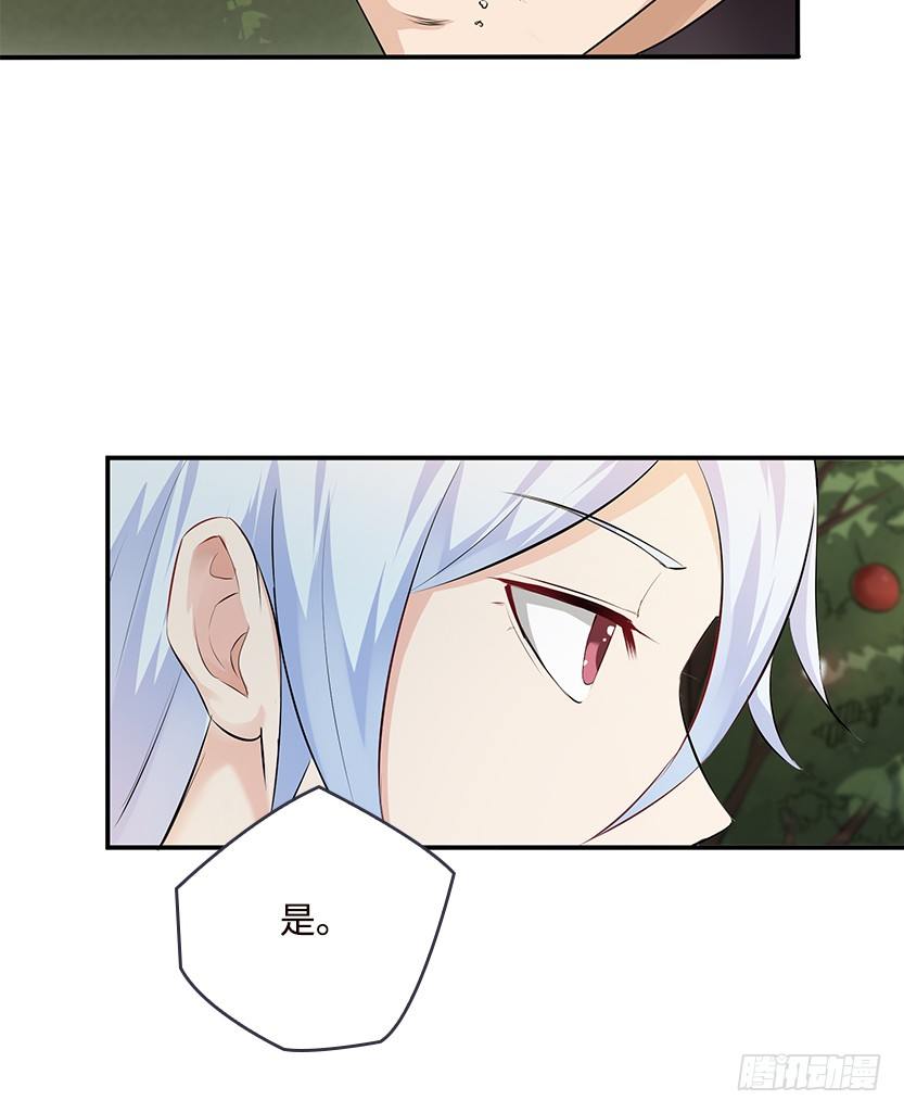 第2波缩圈(1/2)-第40话