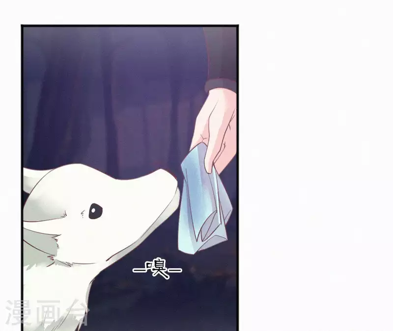 第40话 红棉花(1/2)-第40话