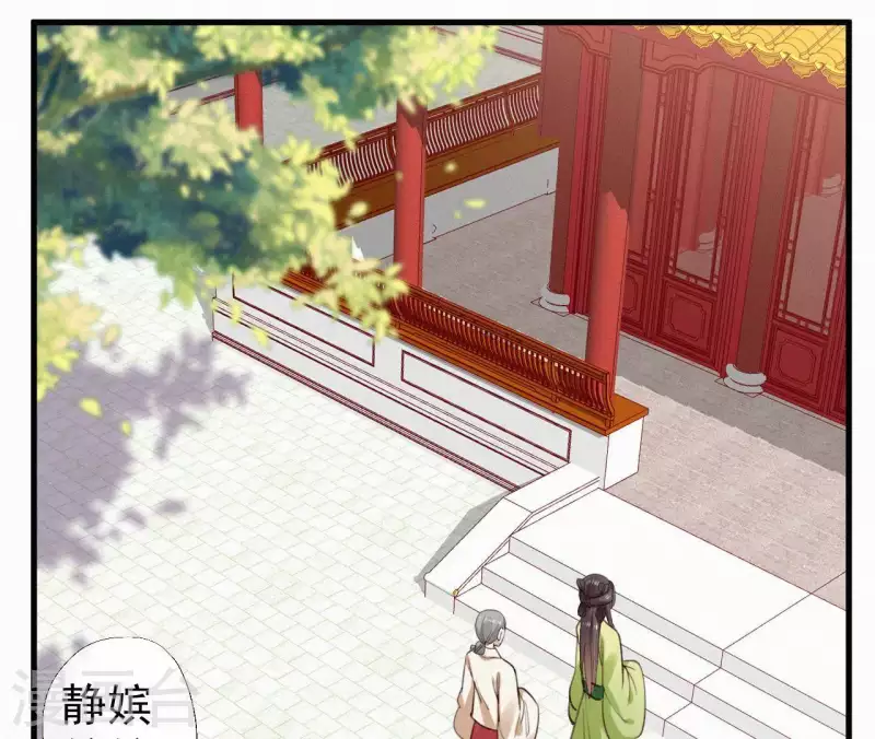 第98话 娶了个傻子(1/2)-第98话