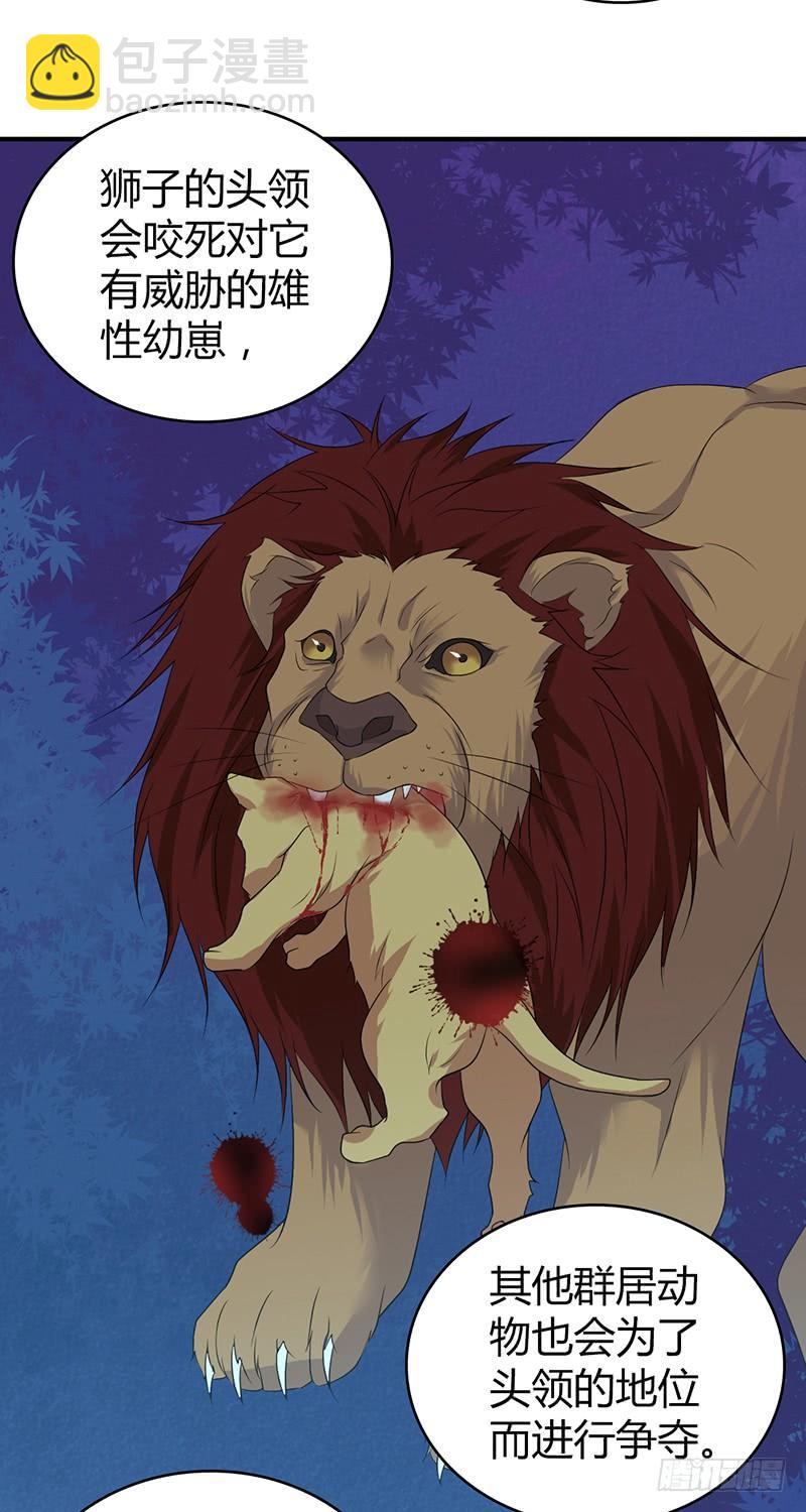 056 区划(1/2)-第90话