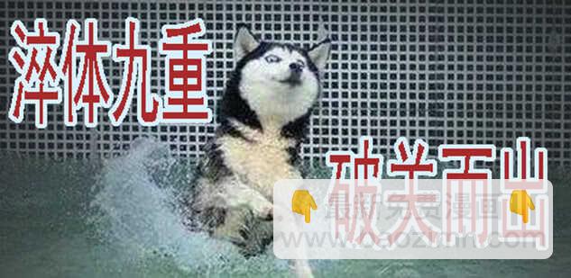 鐵姬鋼兵 - 掉毛金烏不如雞 - 1