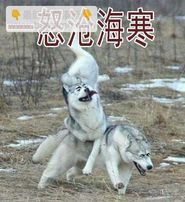 鐵姬鋼兵 - 惡龍已死，唯我最強 - 4