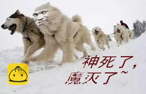 鐵姬鋼兵 - 熊姐潛力多深？ - 2