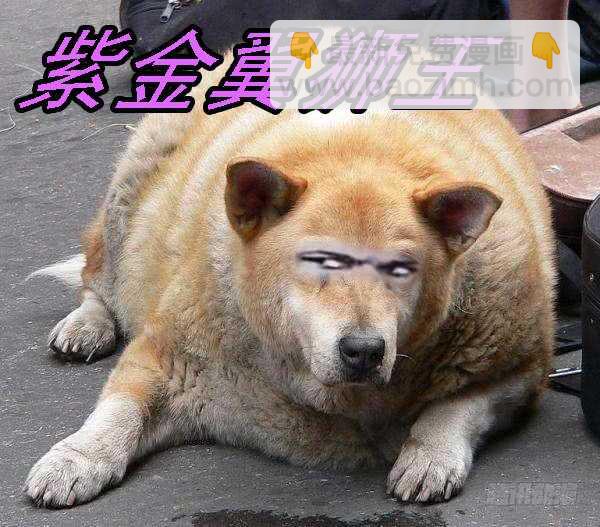 鐵姬鋼兵 - 不該出手不出手 - 4