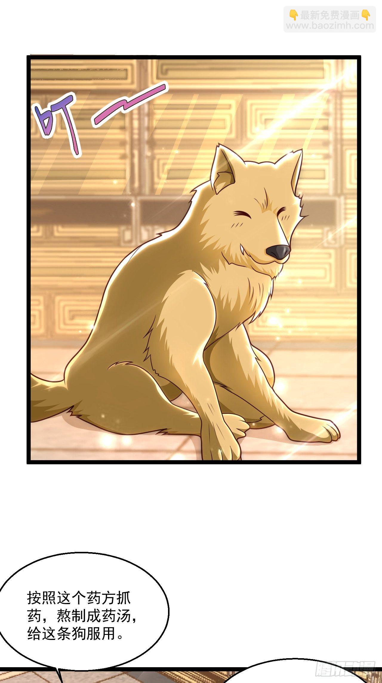 48 来人上狗(1/2)-第50话