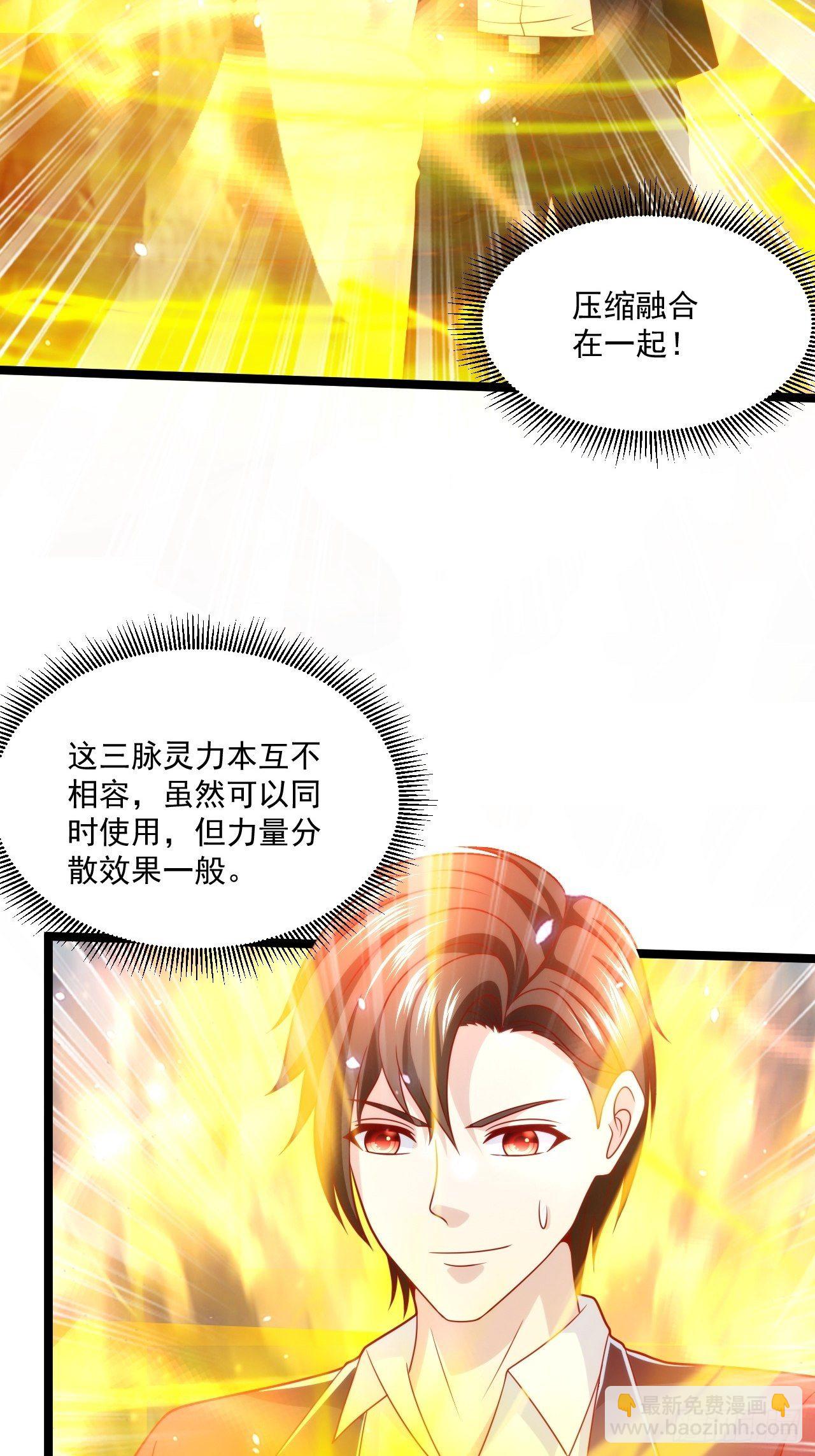 70 叶家继承人(1/2)-第72话